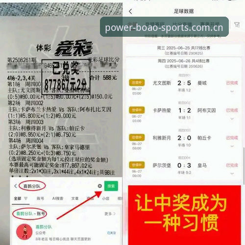 博澳体育域名选择：官方安全入口 vs 第三方渠道的全面对比